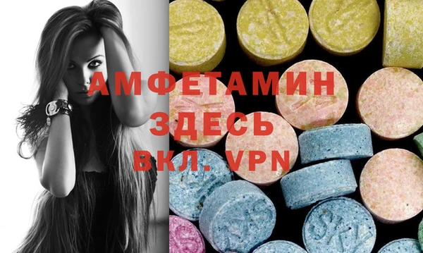 шишки Абаза