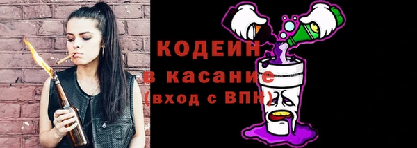 шишки Абаза