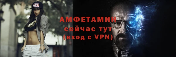 шишки Абаза