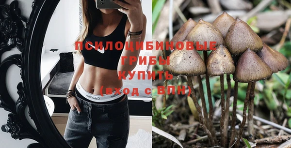 кокс Абинск