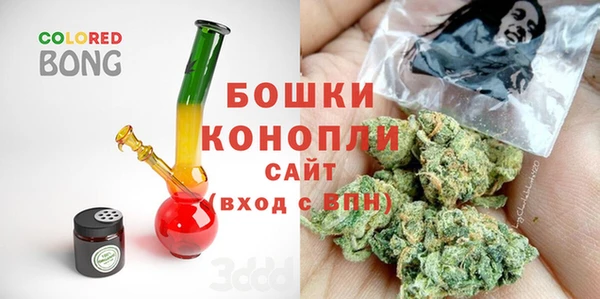 шишки Абаза