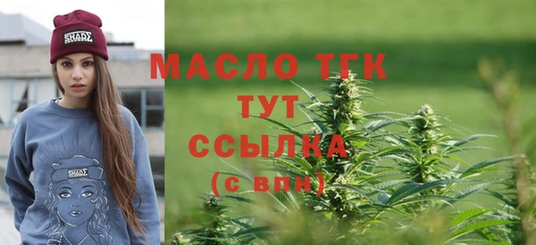 индика Губаха