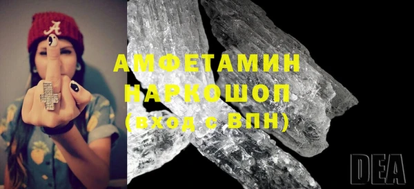 шишки Абаза