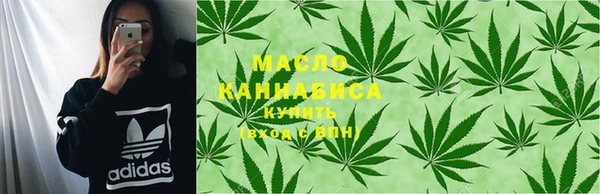 шишки Абаза
