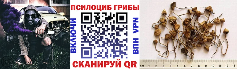 Галлюциногенные грибы мухоморы  Абаза 